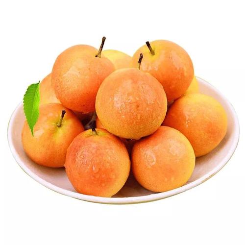 哈爾濱潤恒城果品市場